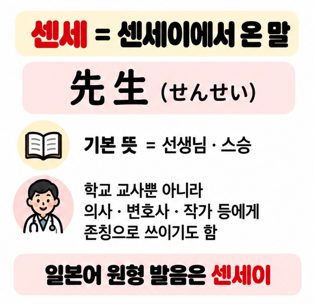 센세이는 선생님 스승 전문가 존칭이라는 기본 의미를 先生 표기와 함께 보여주는 카드