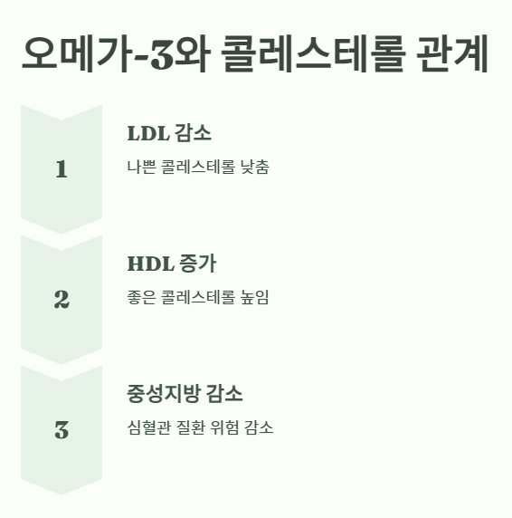 메가3와 콜레스테롤