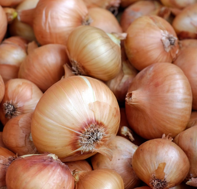 메추리알 장조림1