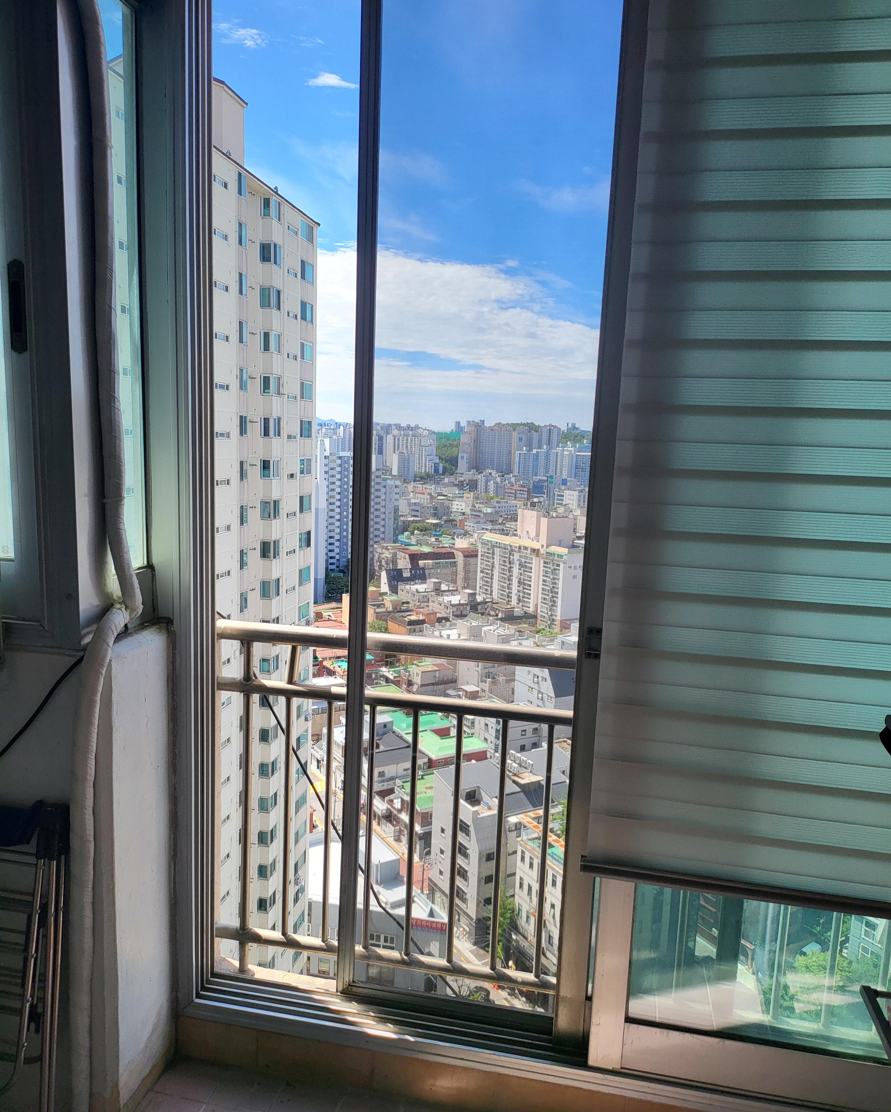 블로그 당근방충망