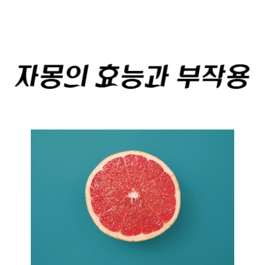 자몽의 효능과 부작용