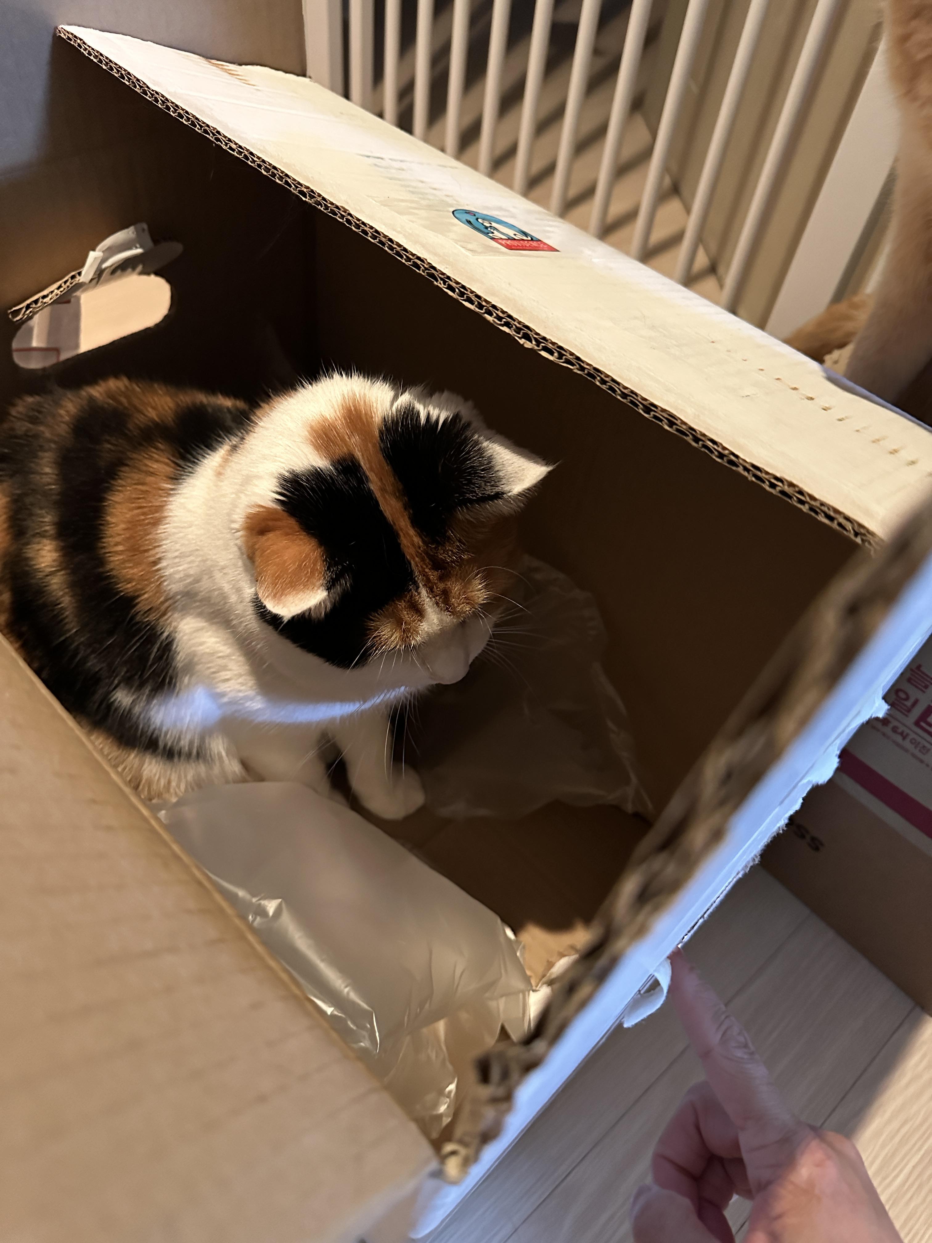 작은_구멍으로_손가락을_살짝_걸치고있는_엄마와_그걸_보고_있는_요미