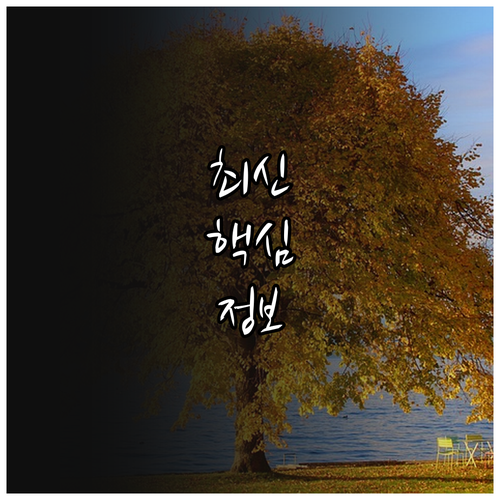 영아 부모 필수 2025 광주 북구 ..