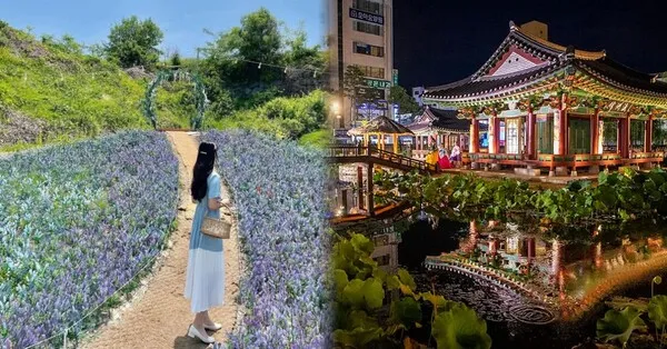 원주 가볼만한곳 베스트10 현지인 추천 필수코스_5