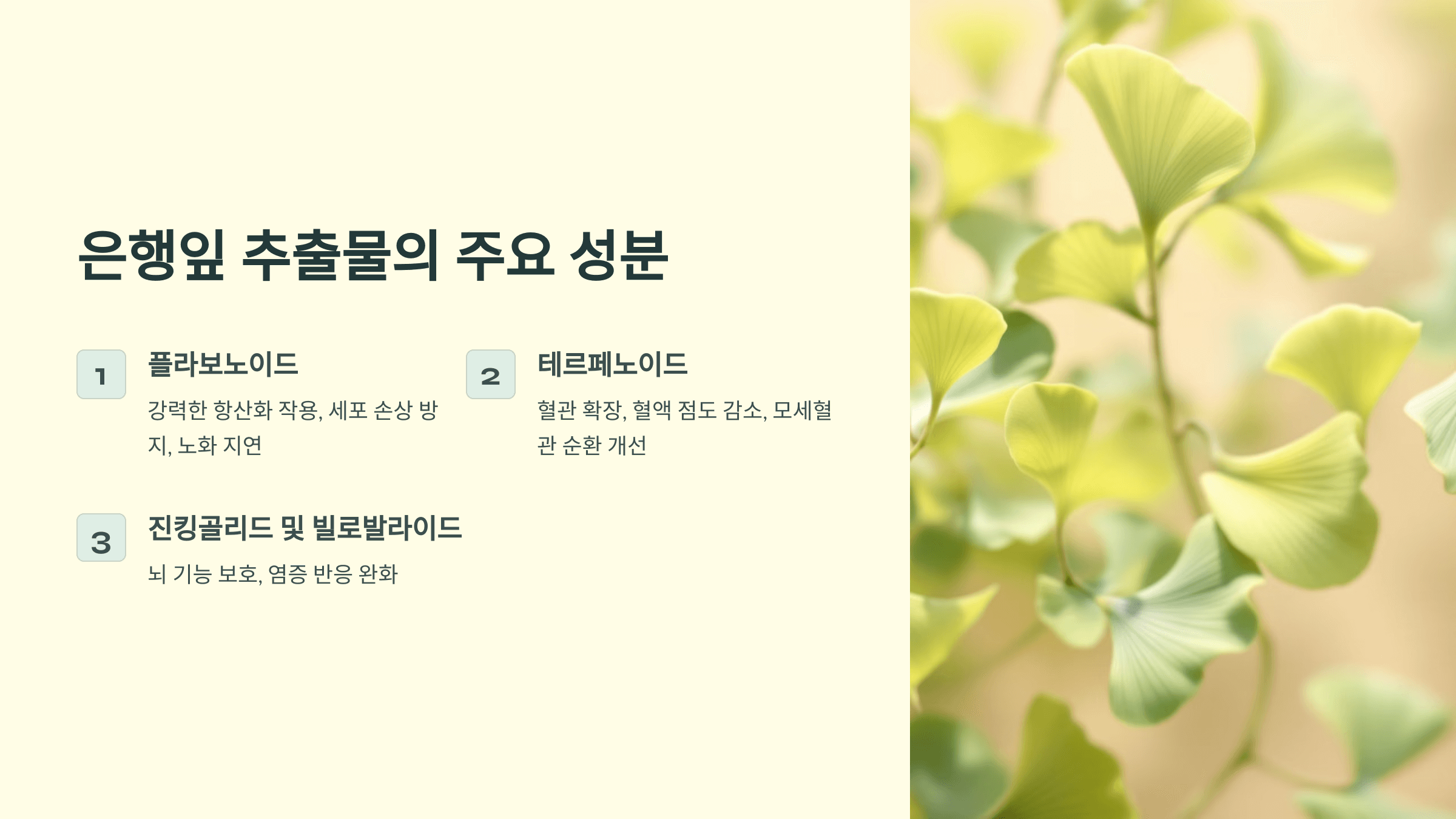 은행잎 사진입니다.