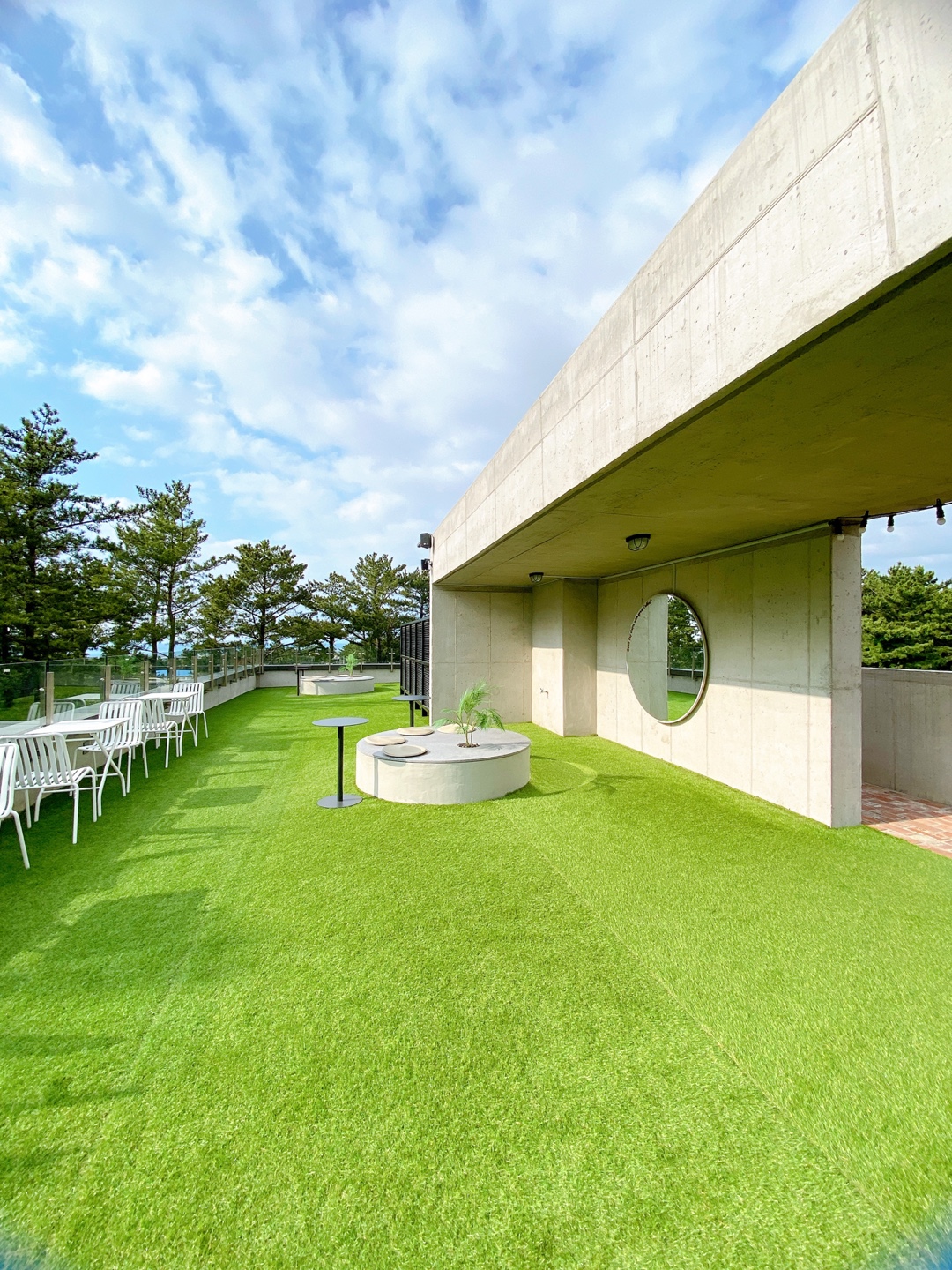 제주 애견 할리스 연북로점