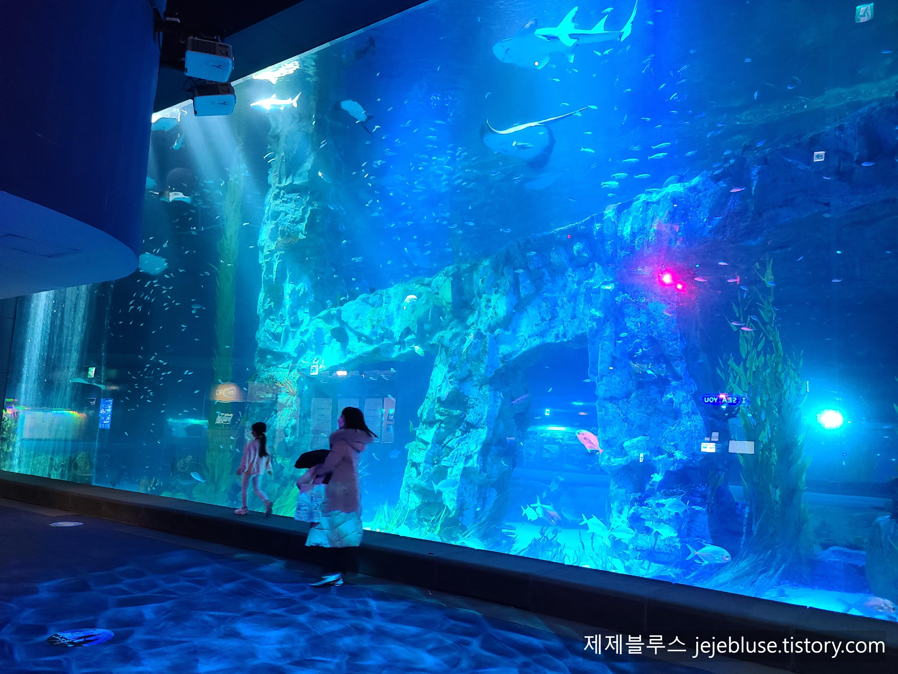 롯데월드-아쿠아리움