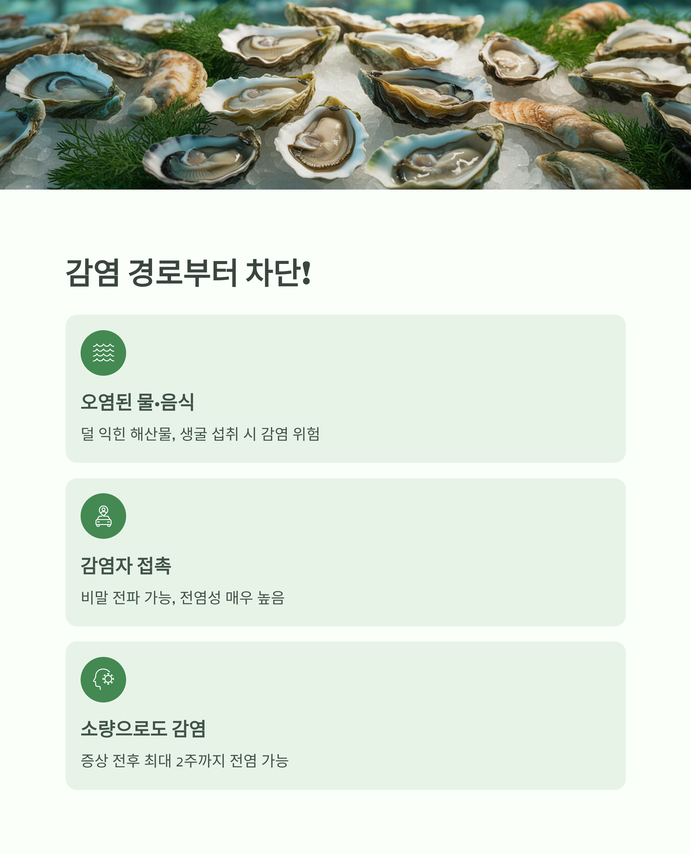 노로바이러스 감염 경로 차단 인포그래픽으로, 생굴 등 해산물 이미지와 함께 오염된 음식·감염자 접촉·소량 감염 위험이 설명된 이미지