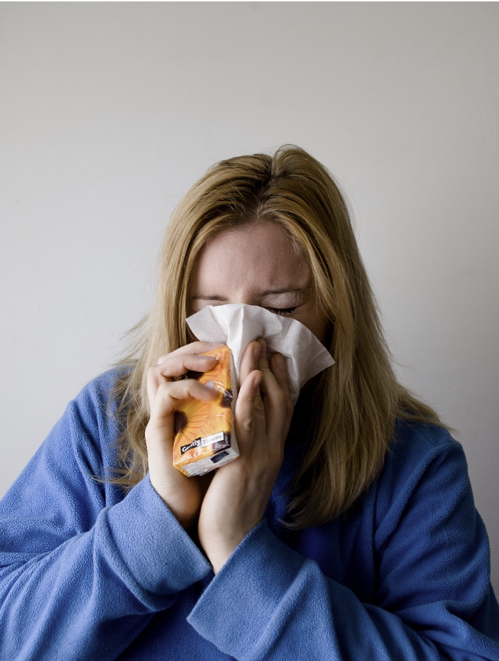 2024년 독감 예방접종