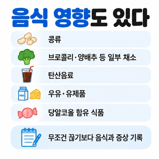 콩류 일부 채소 탄산음료 유제품 당알코올 등 음식에 따라 가스가 늘 수 있음을 보여주는 이미지