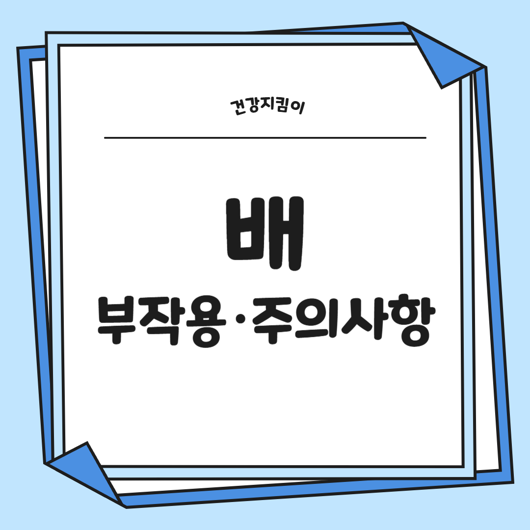 배의 효능 영양성분 부작용