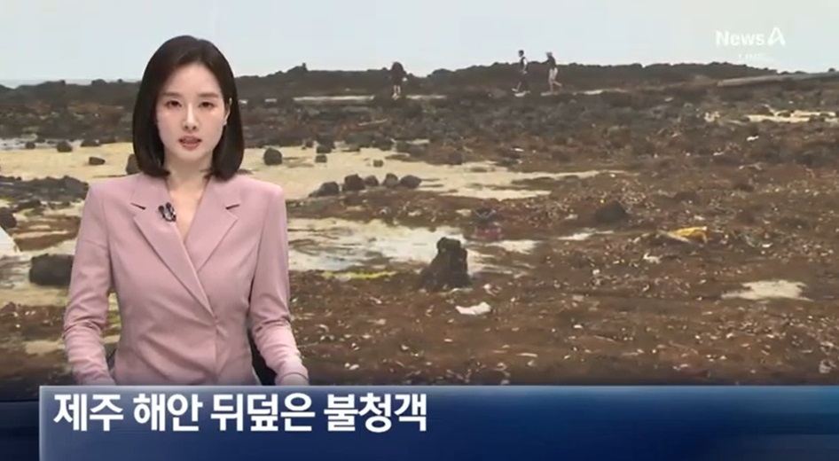 제주 해안 괭생이모자반 문제