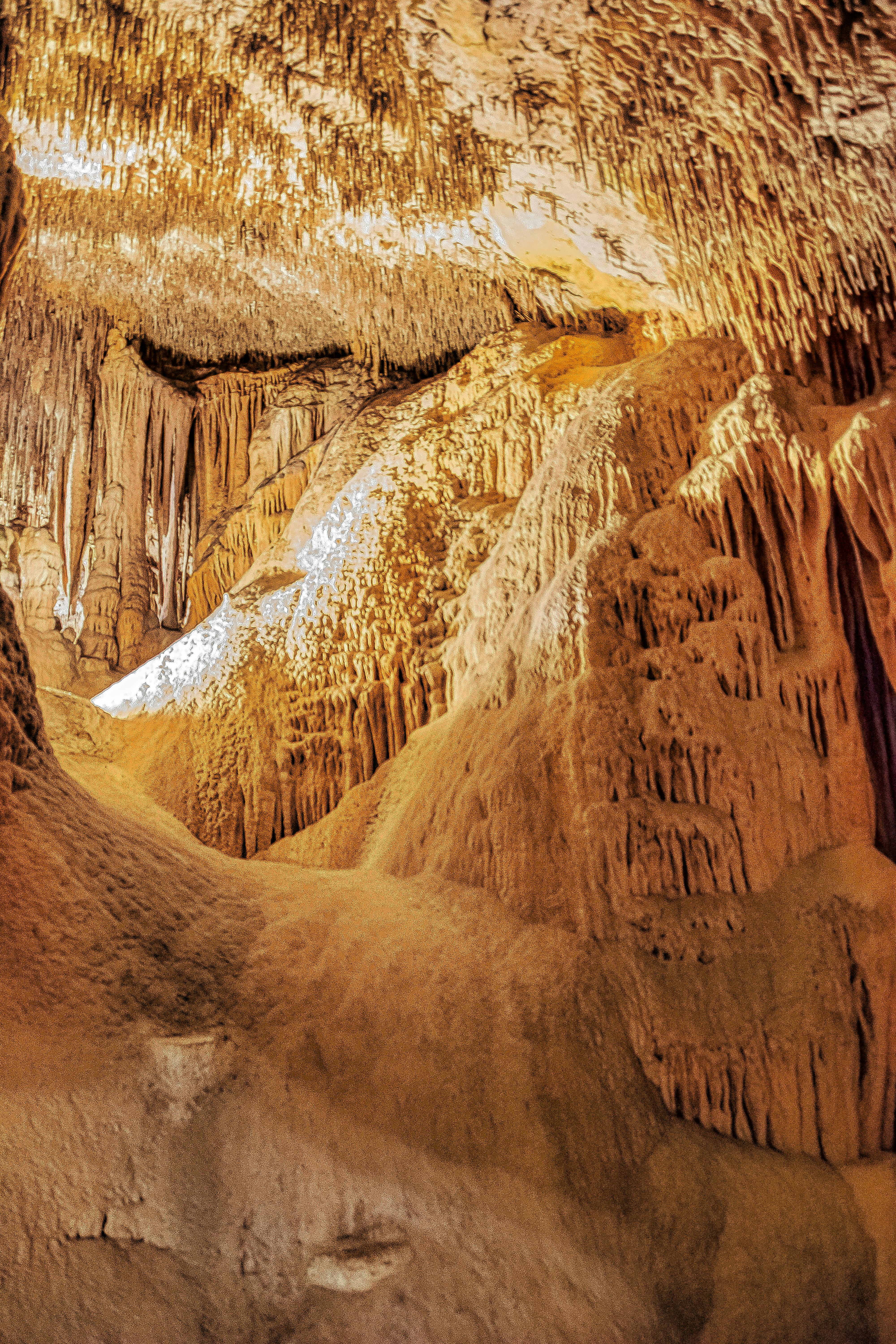 좁은 틈이 곧 집이다: 동굴 생태학과 미세공간(크레비스) 생태