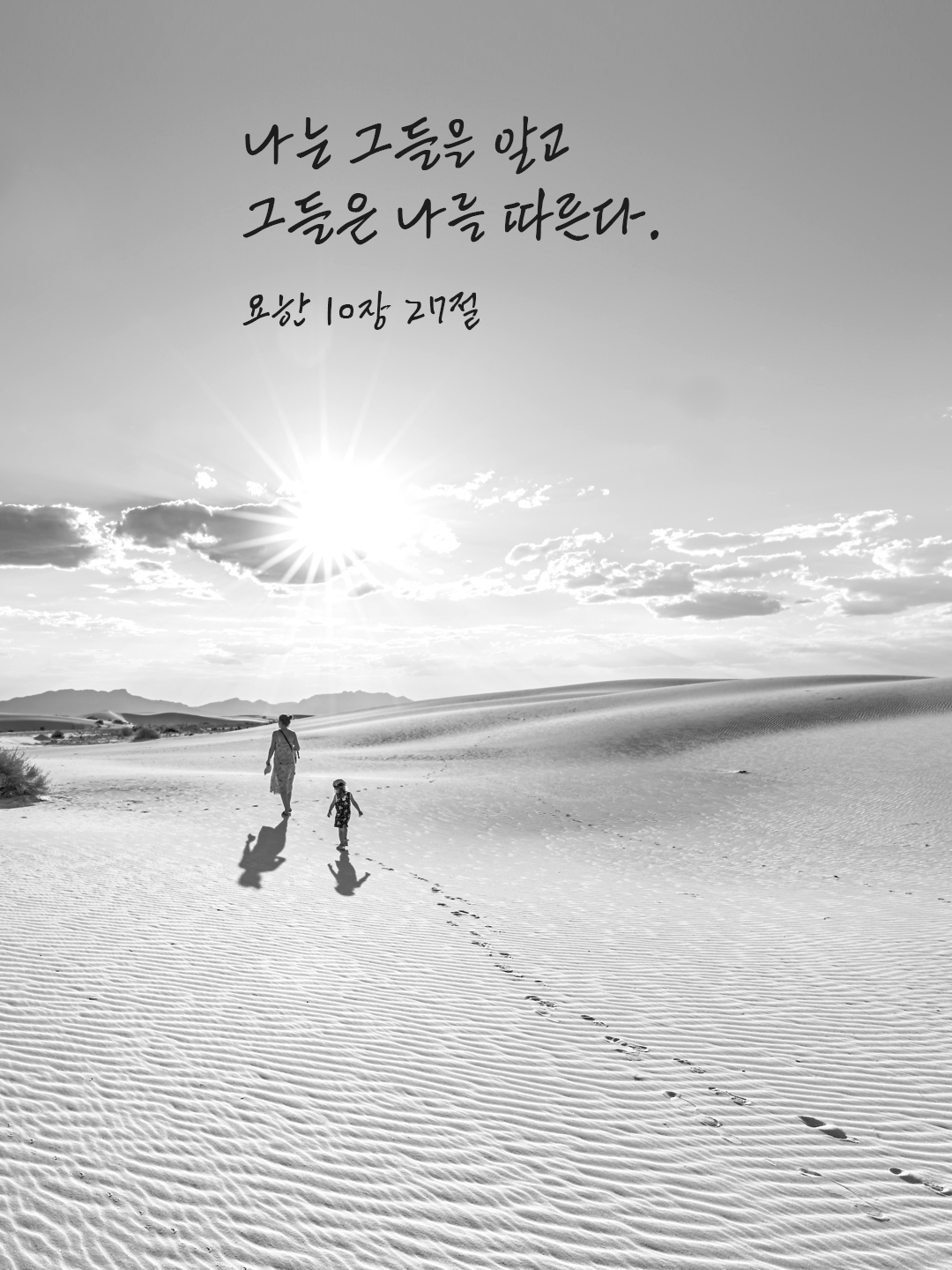 나는 그들을 알고 그들은 나를 따른다. (요한 10&#44;27)