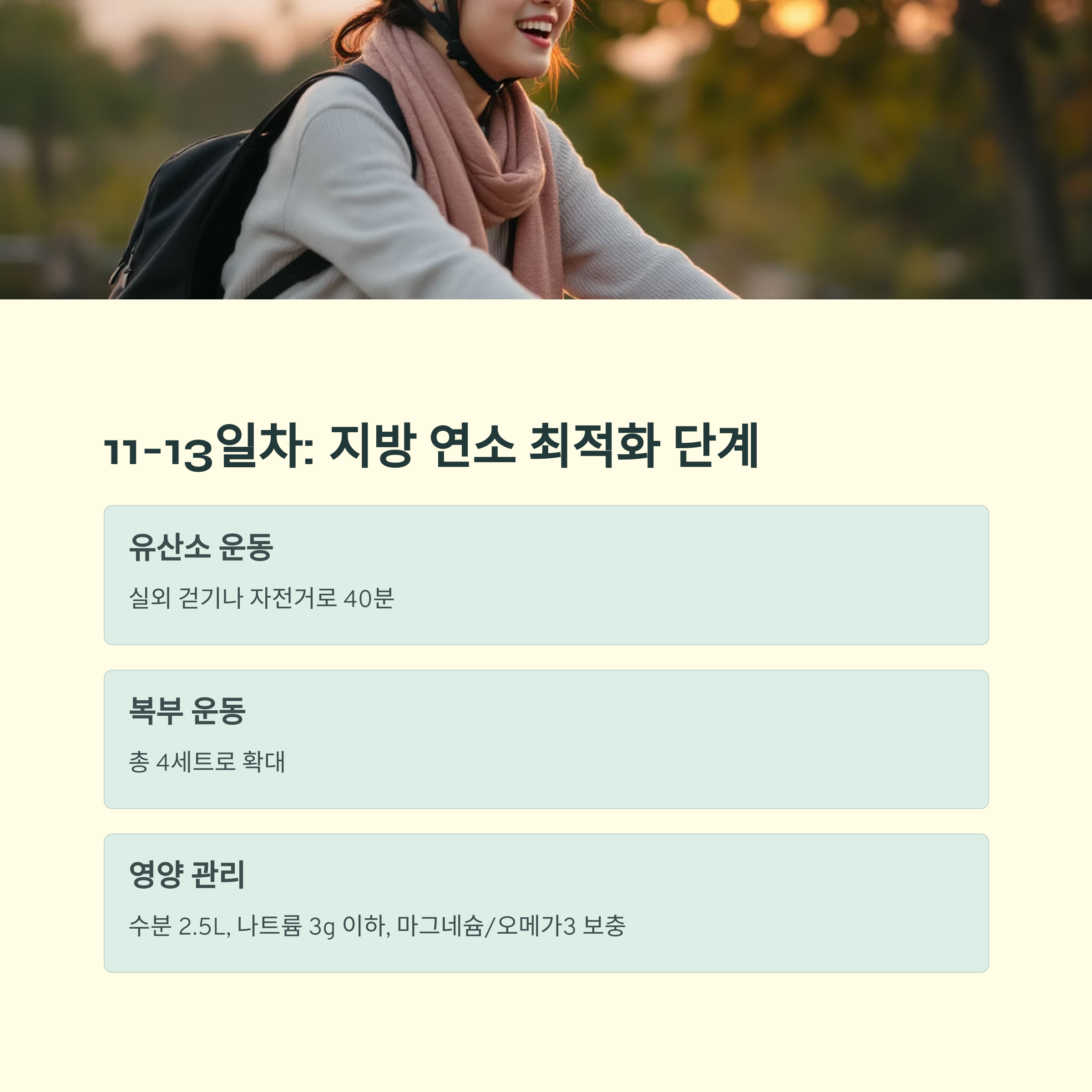 11일차~13일차: 지방 연소 최적화 단계