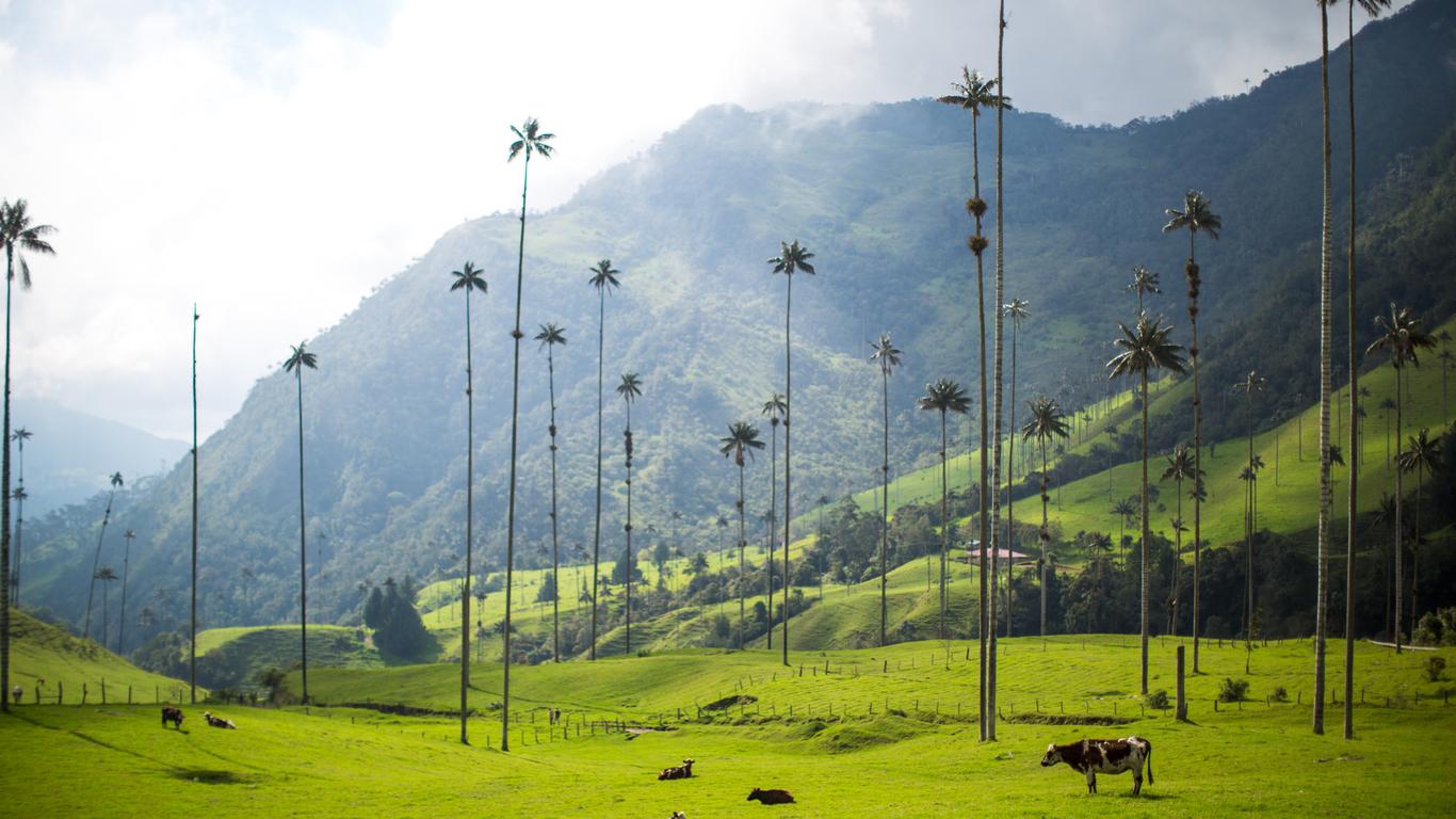 콜롬비아 살렌토 풍경