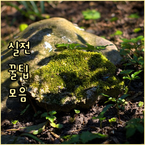 유연한 육아휴직 활용 급여 재신청 방..