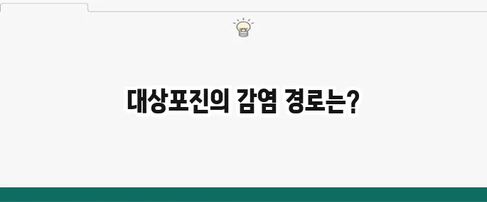 대상포진 전염성: 수두? 물집? 감염 위험과 예방