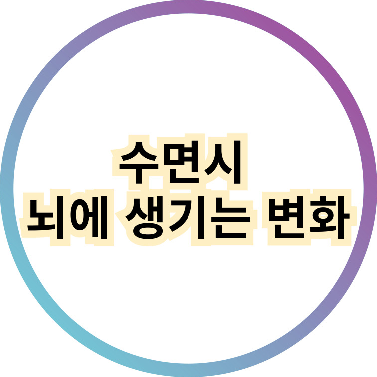 배너