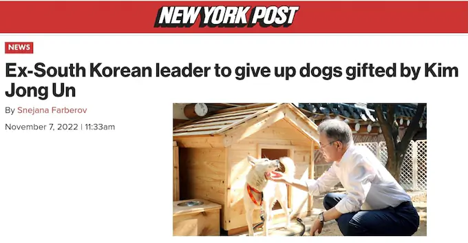 문재인 풍산개 파양 외신 보도