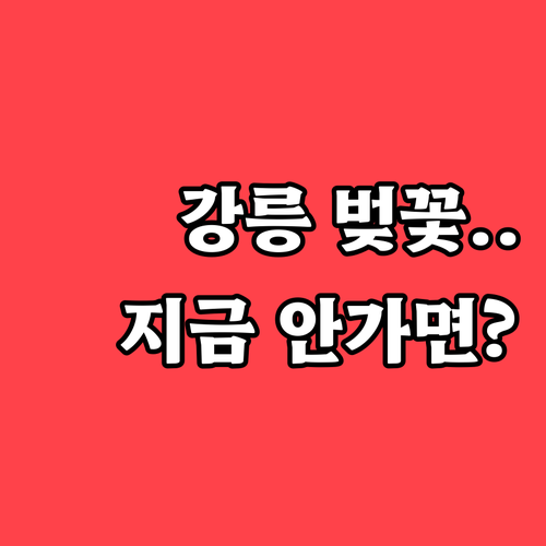 강릉 벚꽃 축제 일정과 경포대 남산공..