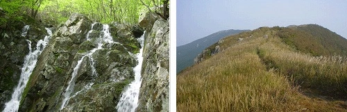 폭포 및 억새풀