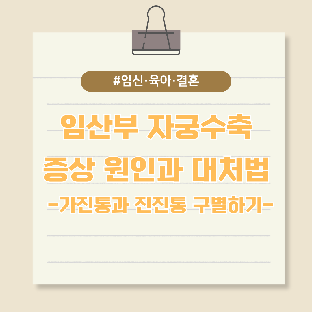 임산부 자궁수축 증상 원인과 대처법 (가진통과 진진통 구별하기)