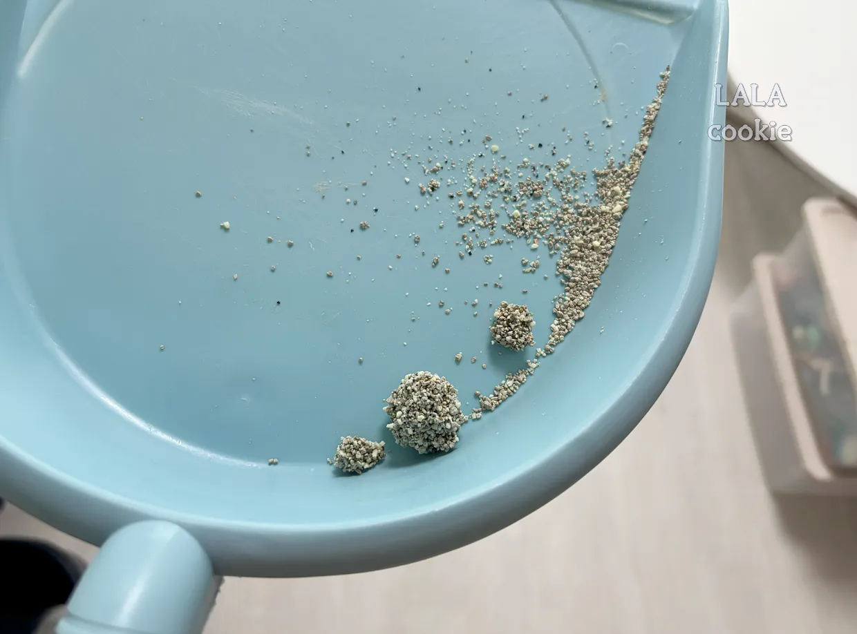 고양이-방광염-치료-후기-작은-소변-사진