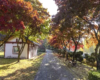 배론성지_26