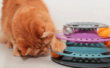 고양이 자동 장난감
