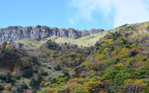 한라산 탐방예약