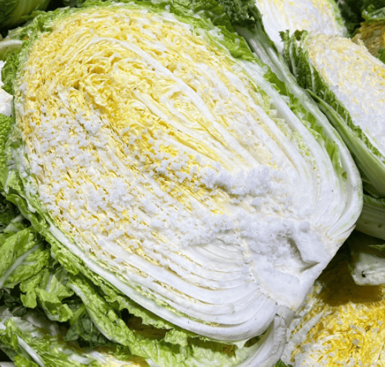 절임배추 추천 순위 TOP 5(24년 11월) - 네이버&amp;#44; 쿠팡 절임배추 판매 분석