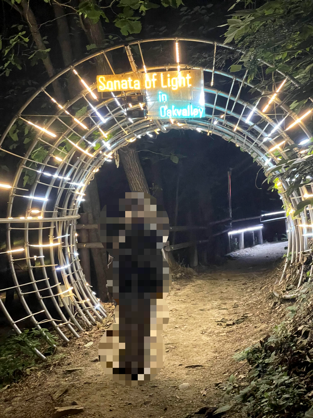 소나타 오브 라이트 시작