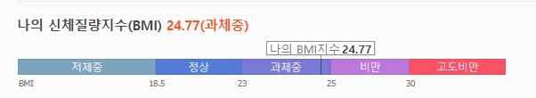 bmi그래프