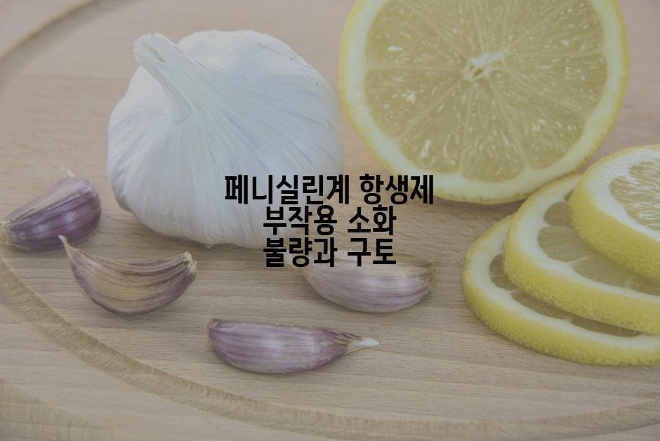 페니실린계 항생제 부작용 소화 불량과 구토