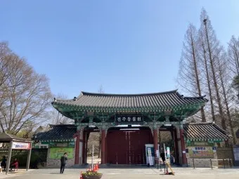 전주 근교 가볼만한곳 완주 벚꽃 명소 맛집_16