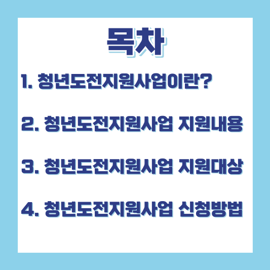 청년도전지원사업-목차