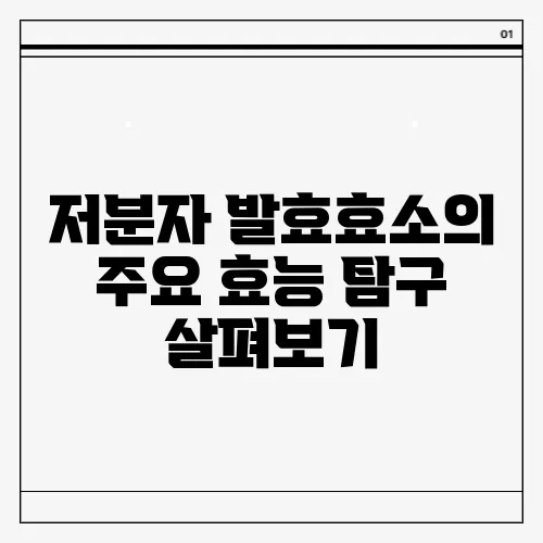 저분자 발효효소의 주요 효능 탐구 살펴보기