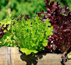 불안장애에 좋은 음식 영양제 식단