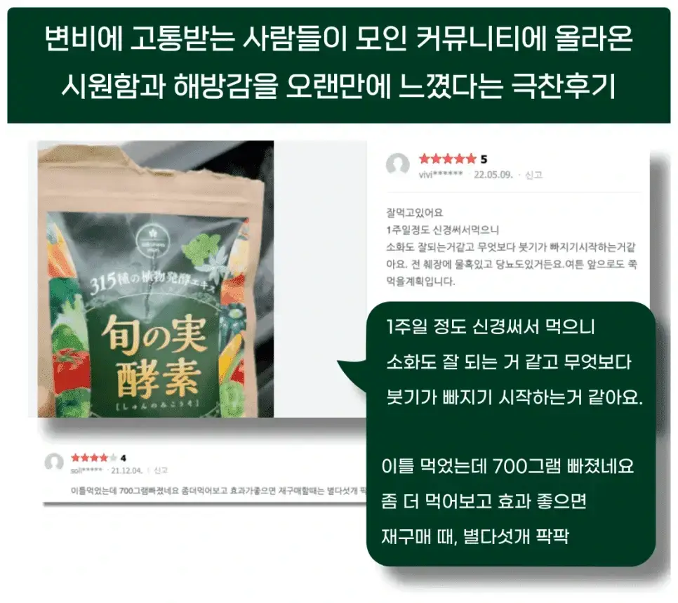 췌장효소 소화효소