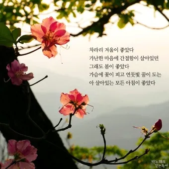 좋은 짧은 글귀 가슴을 울리는 짧은 감동 글귀 추천 모음집_21