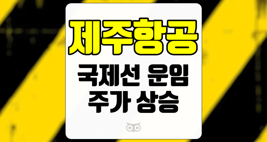 제주항공, 항공업계의 변동성 속에서 제주항공의 성장 가능성 탐구