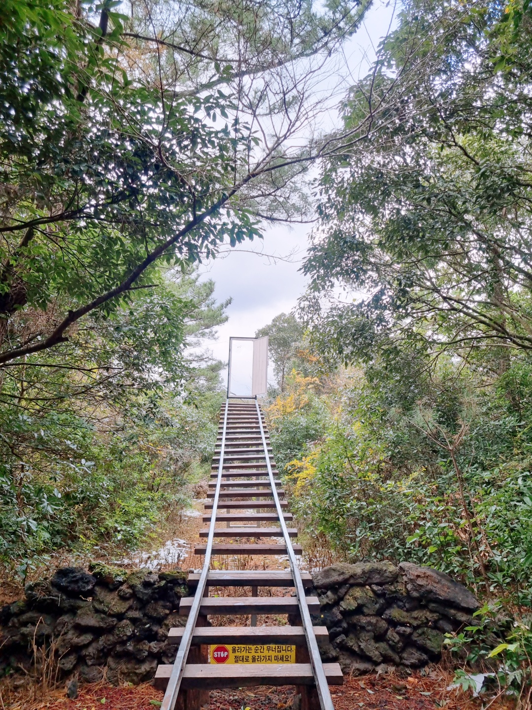 산양큰엉곶