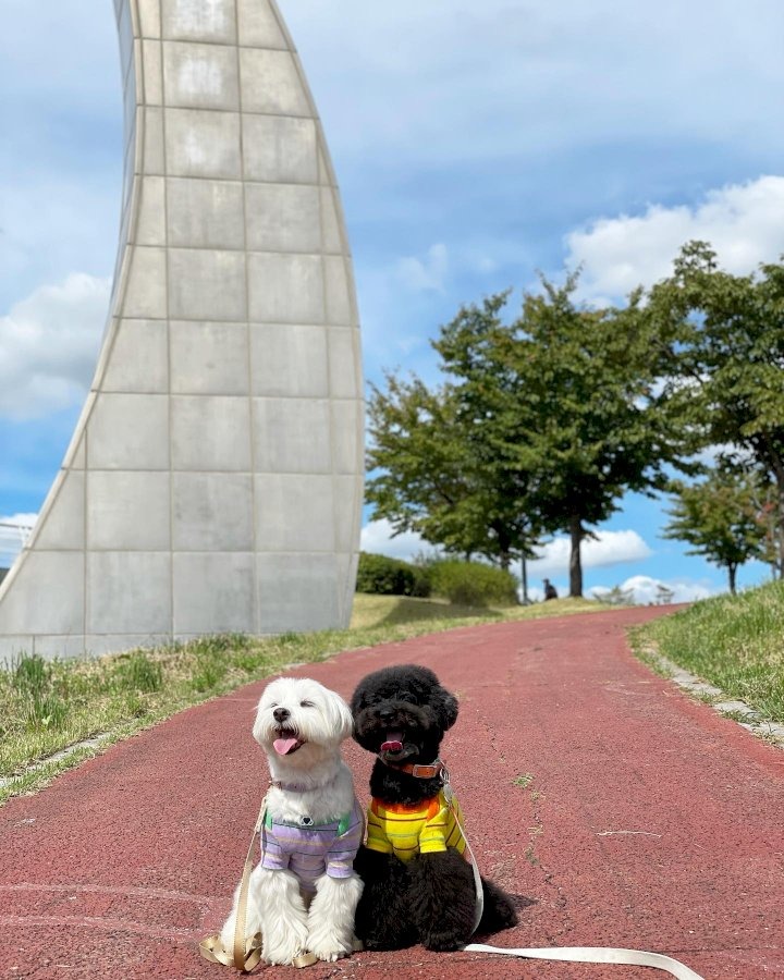 애견동반 드라이브 코스