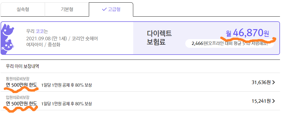 펫퍼민트 고급형 보험료