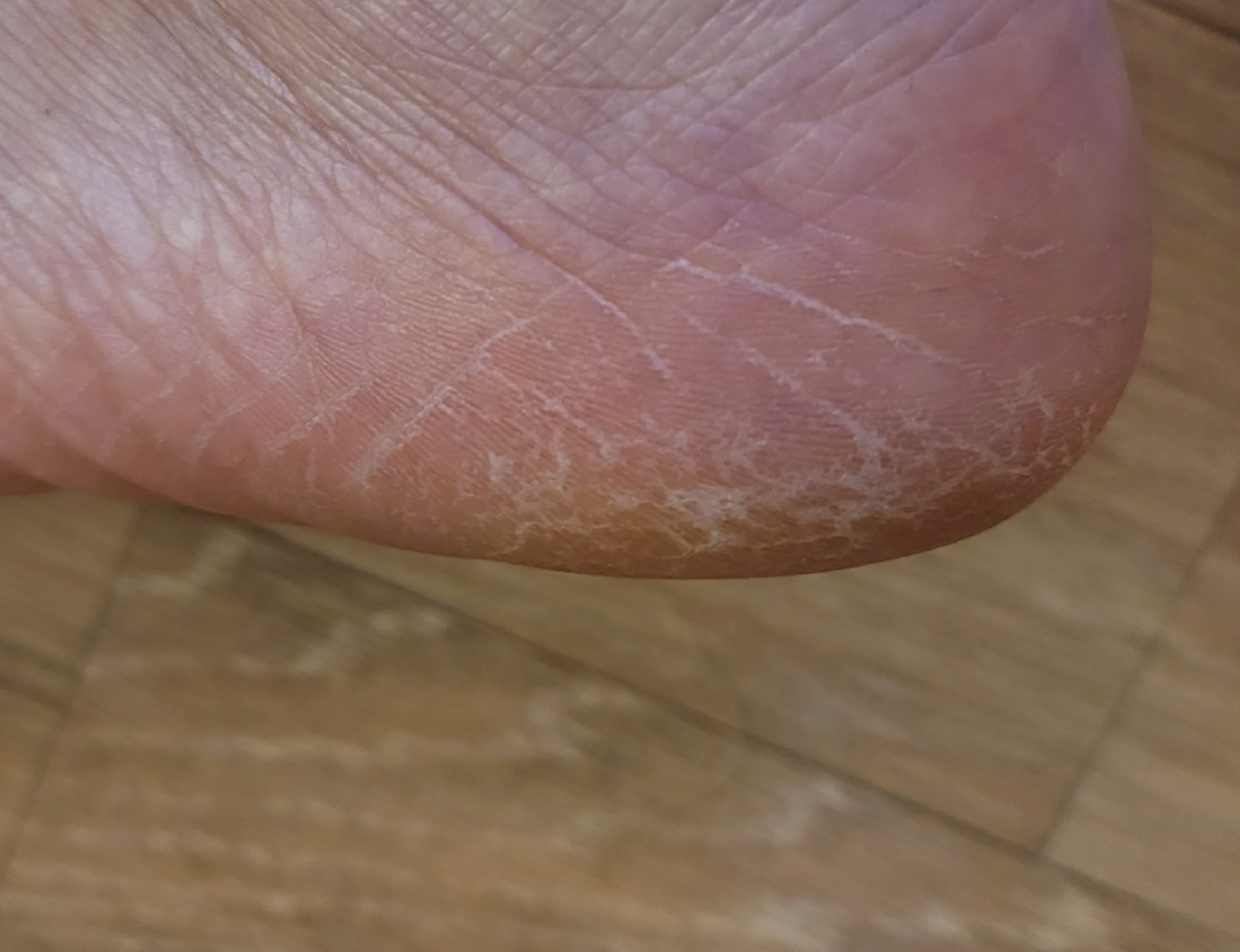 아침까지 촉촉함이 유지