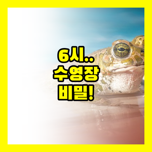 상하이 훙차오 수영장 6시 오픈 비밀..