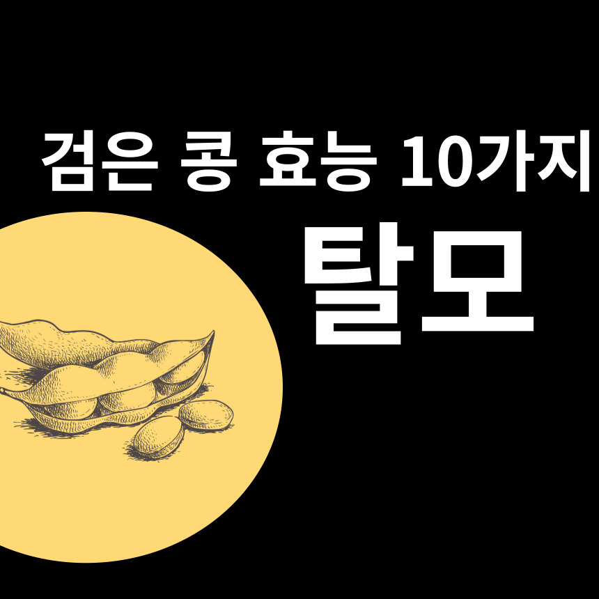 검은콩탈모