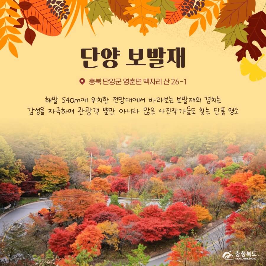 충북 단양 단풍명소 보발재