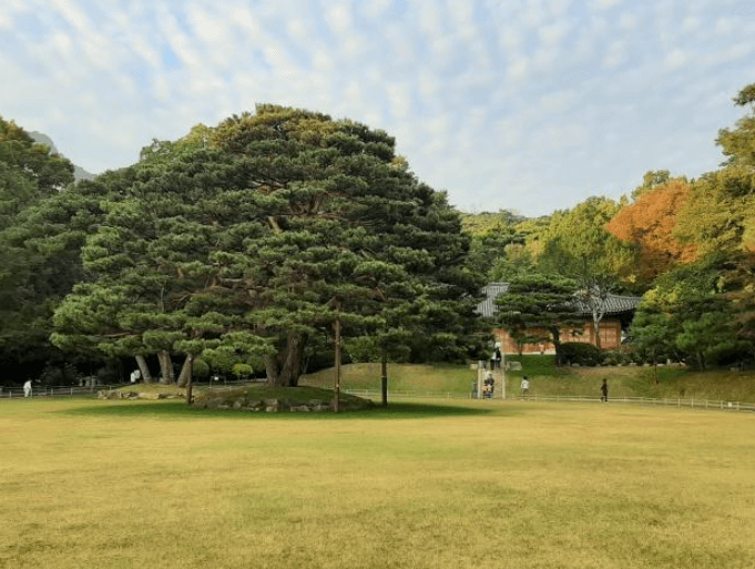 청와대 관람신청